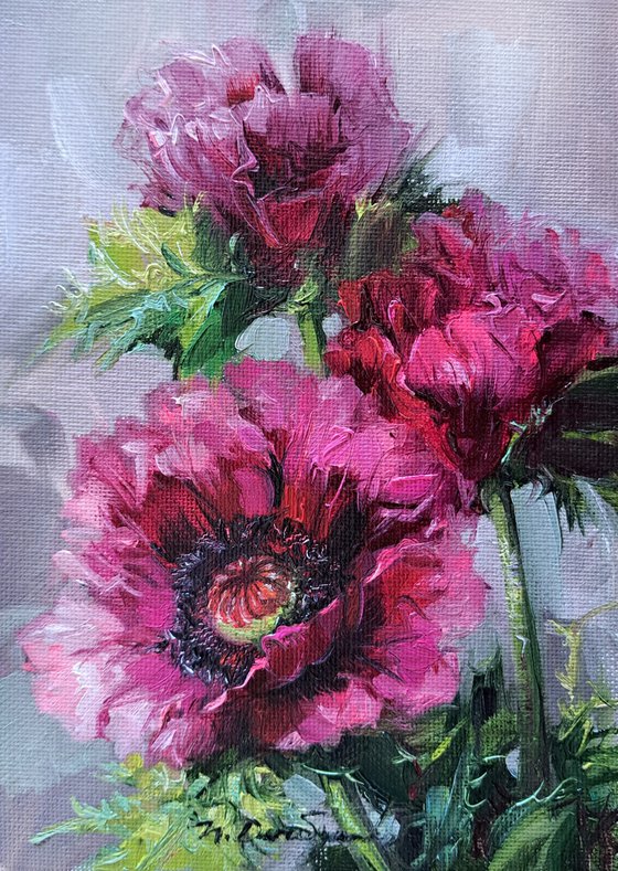 Purple poppies
