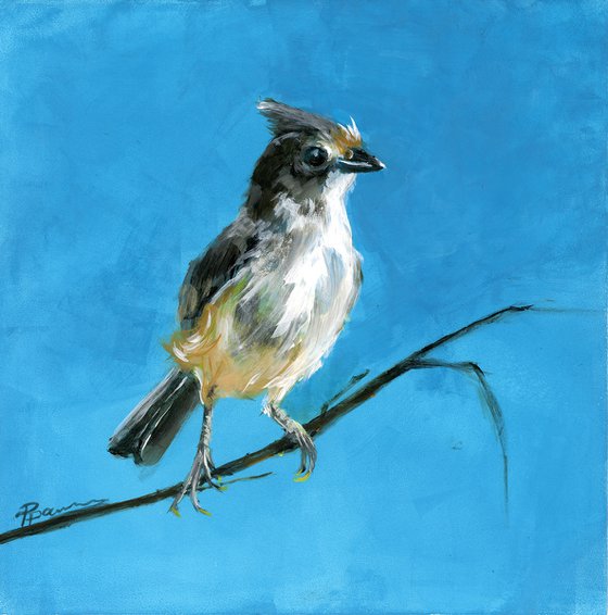 Tufted Titmouse - Original Acrylic Painting