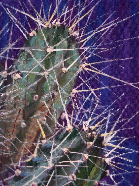 Cactus in Blue Pot