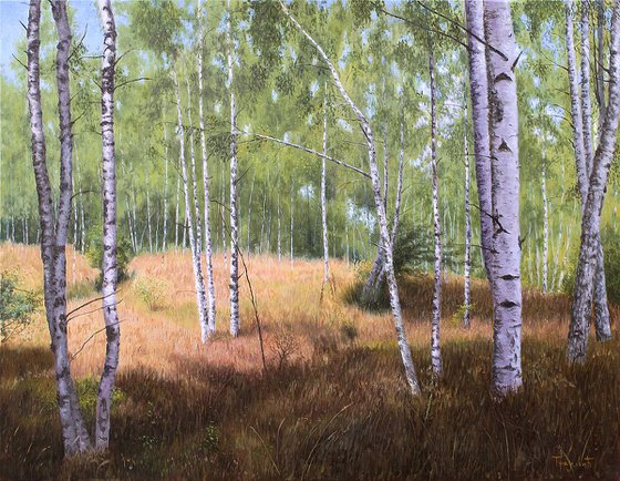 Birch Forest