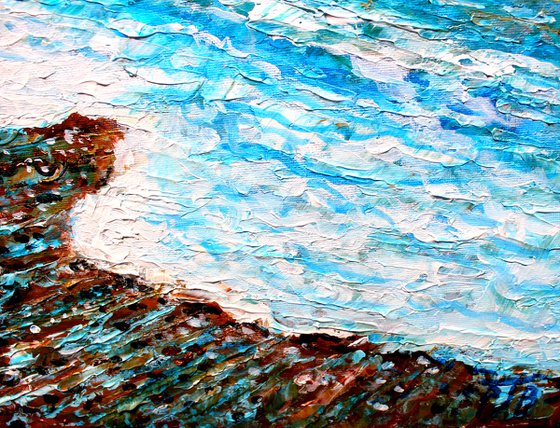 Freshwater Bay in Winter  I