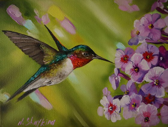 Hummingbird