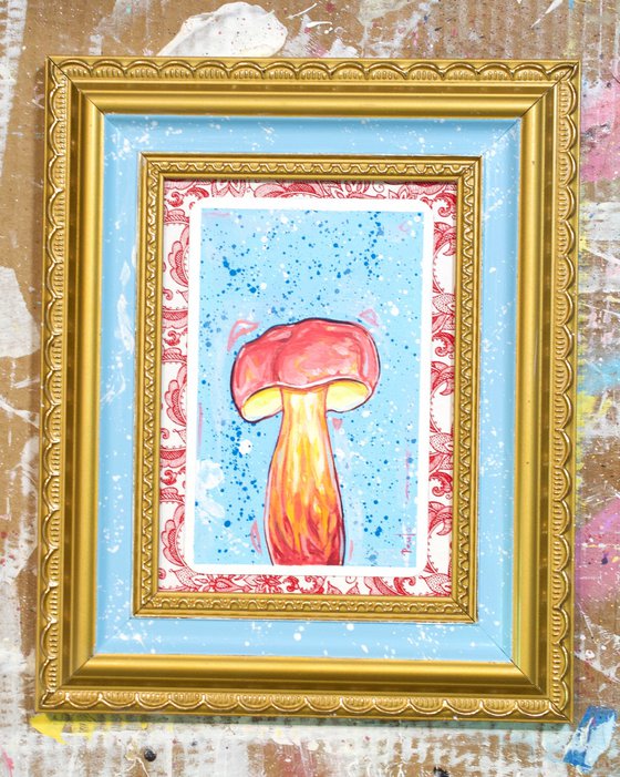 Two coloured bolete