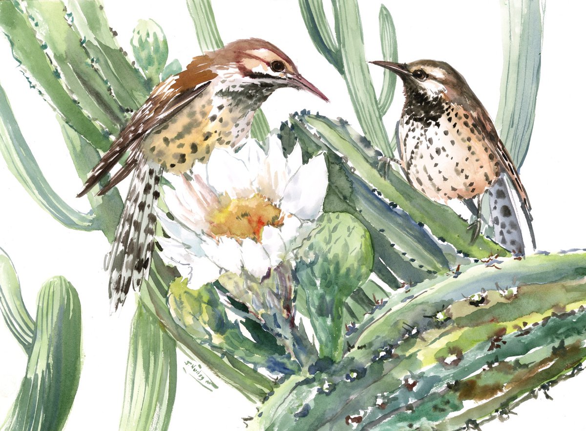 Cactus Wren and Desert Plants by Suren Nersisyan