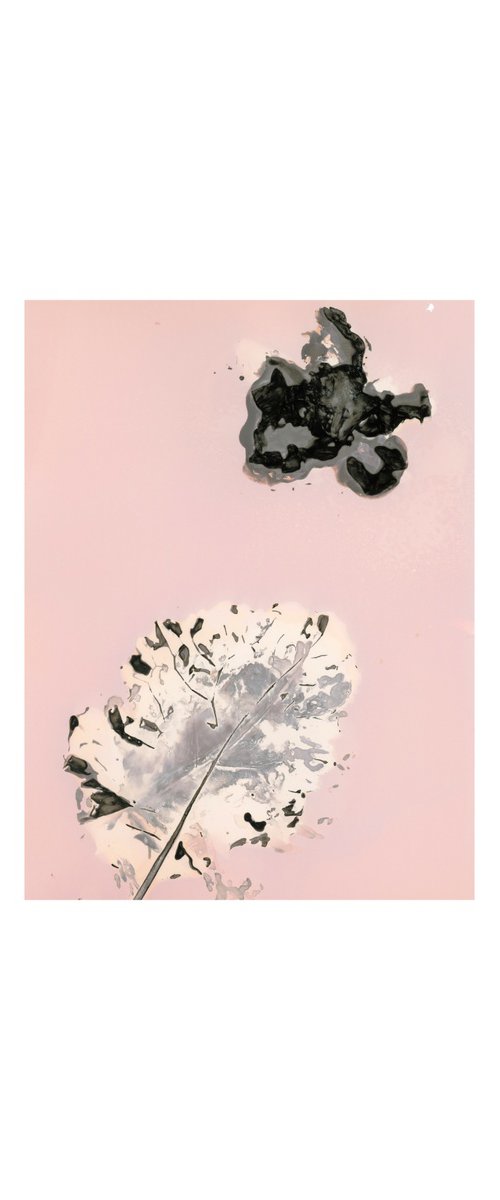 Phytogram flower and leaf by Carla Piacenza