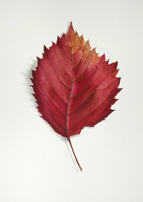 Autumn mood #4 by Julia Gorislavska