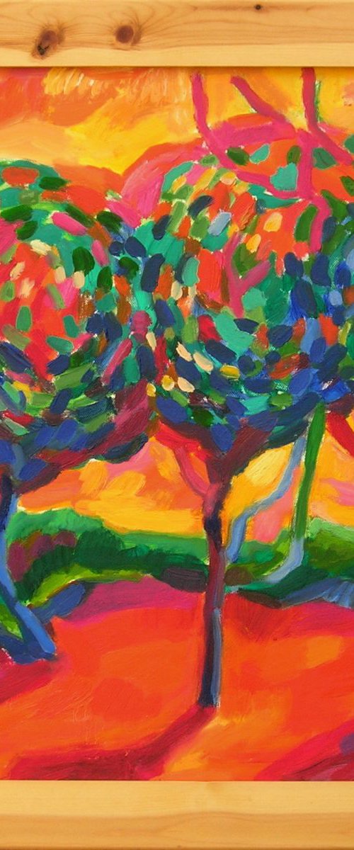 Apple trees and shadows by Maja Grecic
