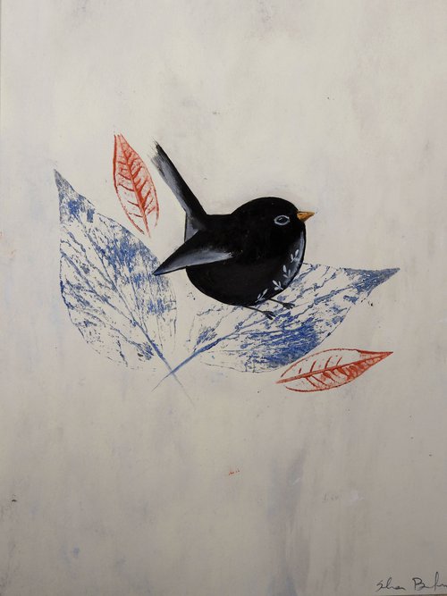 The blackbird by Silvia Beneforti