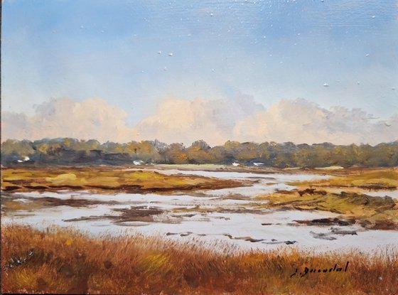 Marsh in Crach