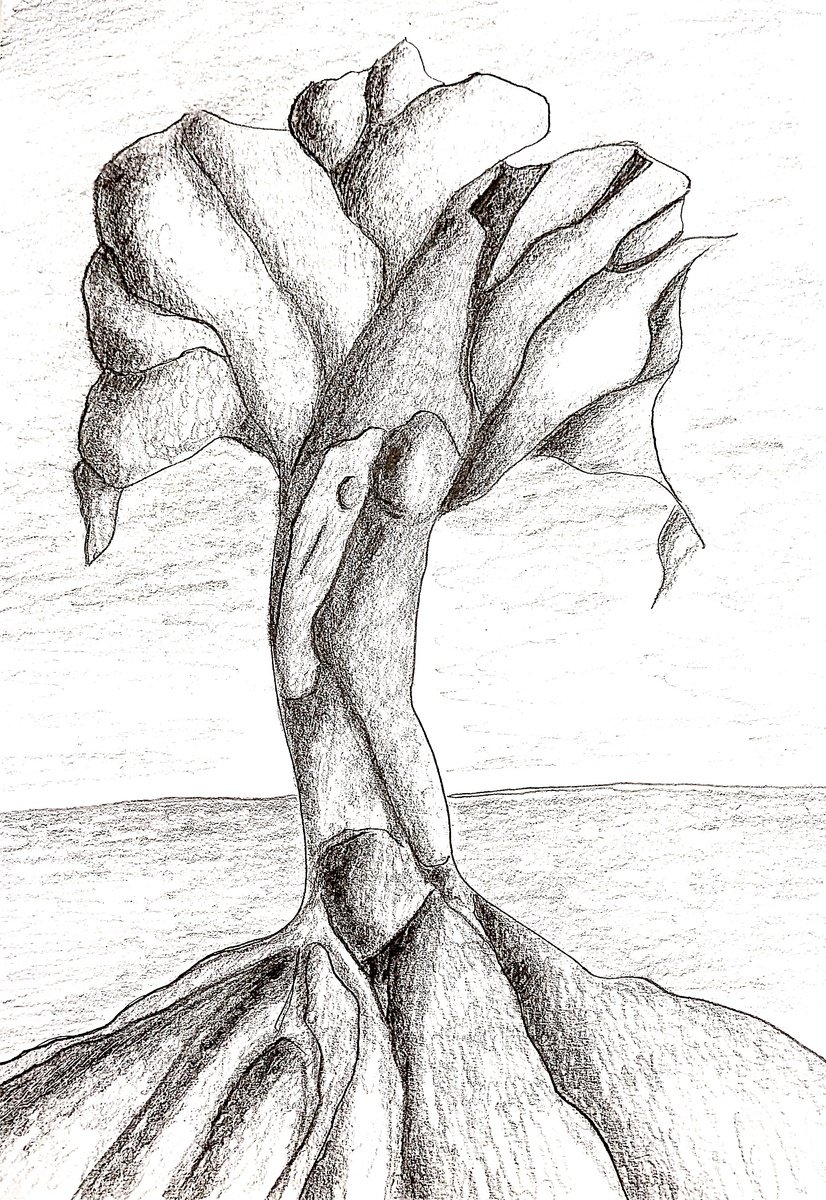 Geometric Abstract Pencil Drawing By Massimo Castronuovo, 8 X 12", Roots, Original Artwork