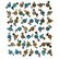 Circle Grammar #2 by Petr Strnad