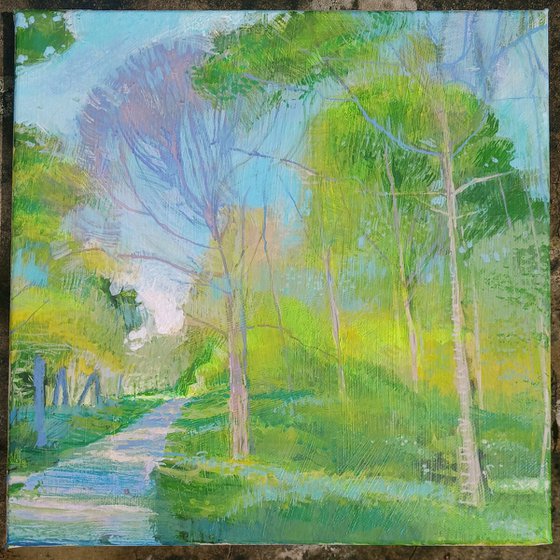 Woodland Walk