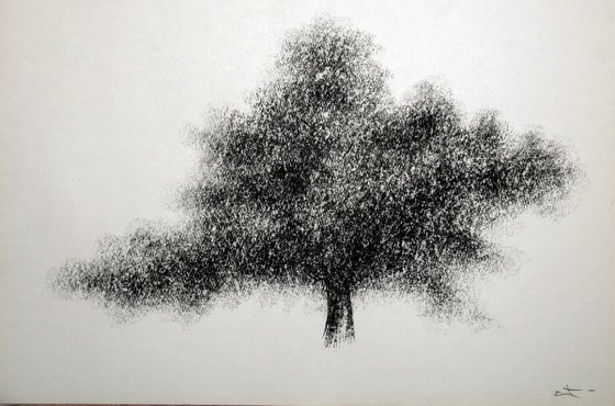 Dessin au fusain, Etude d'arbre