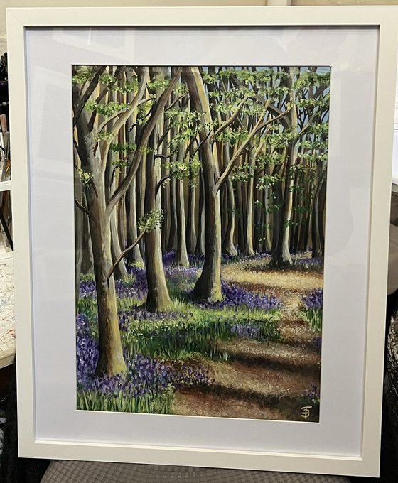 Pathway through Bluebell Woods