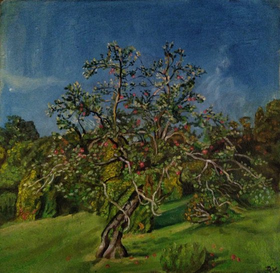 Apple tree