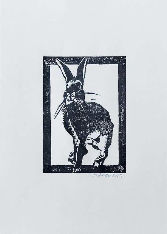 Rabbit 5/7