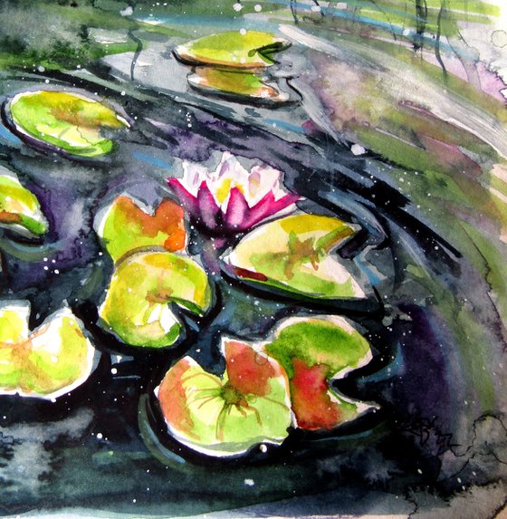Water lilies collection II