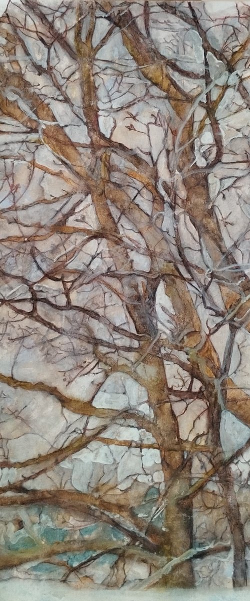 Narva Trees by Marina Skvortsova
