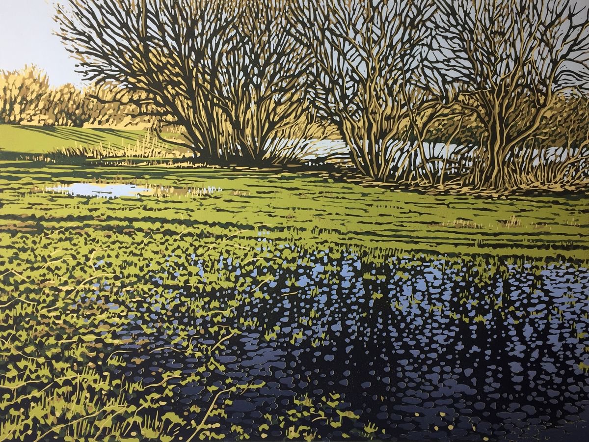 Lakeside Puddles Linocut by Alexandra Buckle | Artfinder