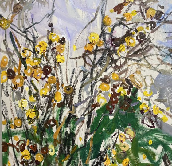 Yellow fruits.