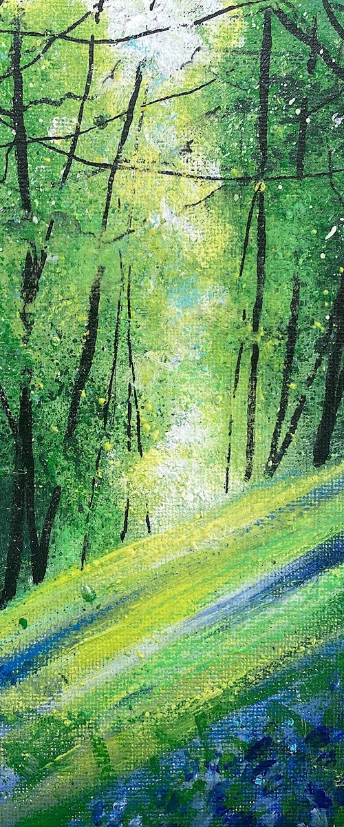 Light Across Bluebell Woods by Teresa Tanner