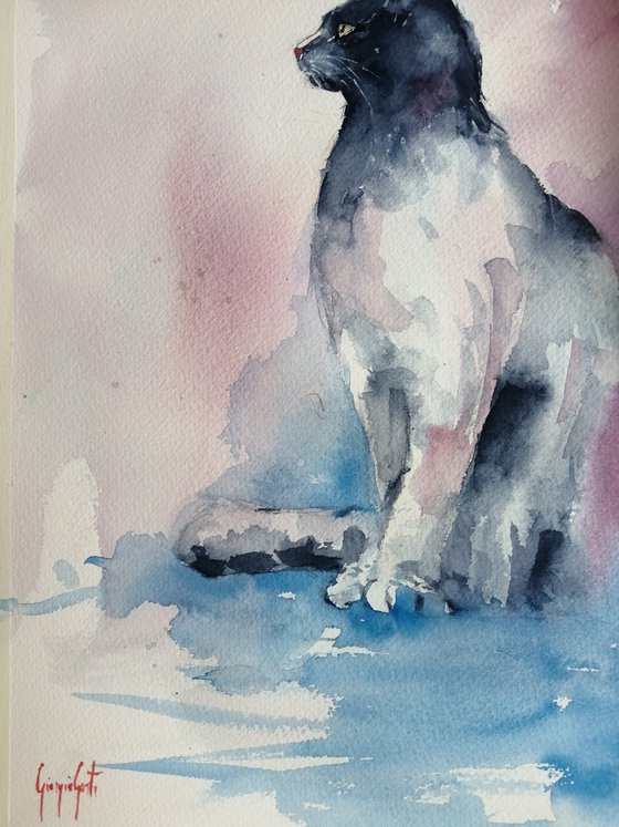 cat 19
