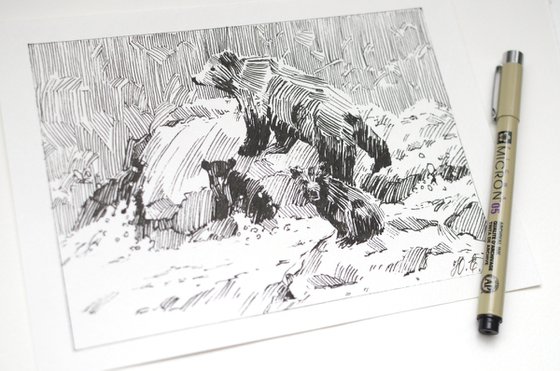 Family of bears on the river, small ink pen drawing, forest animals