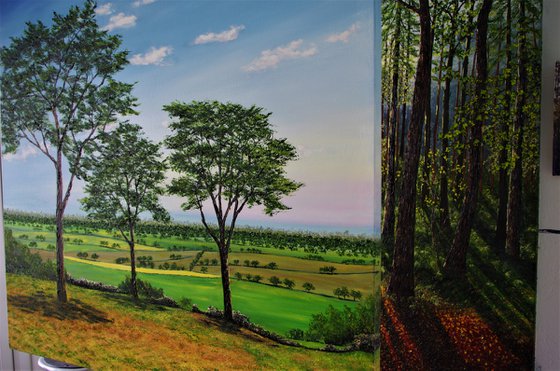 Cheshire plains  100cm x 100cm