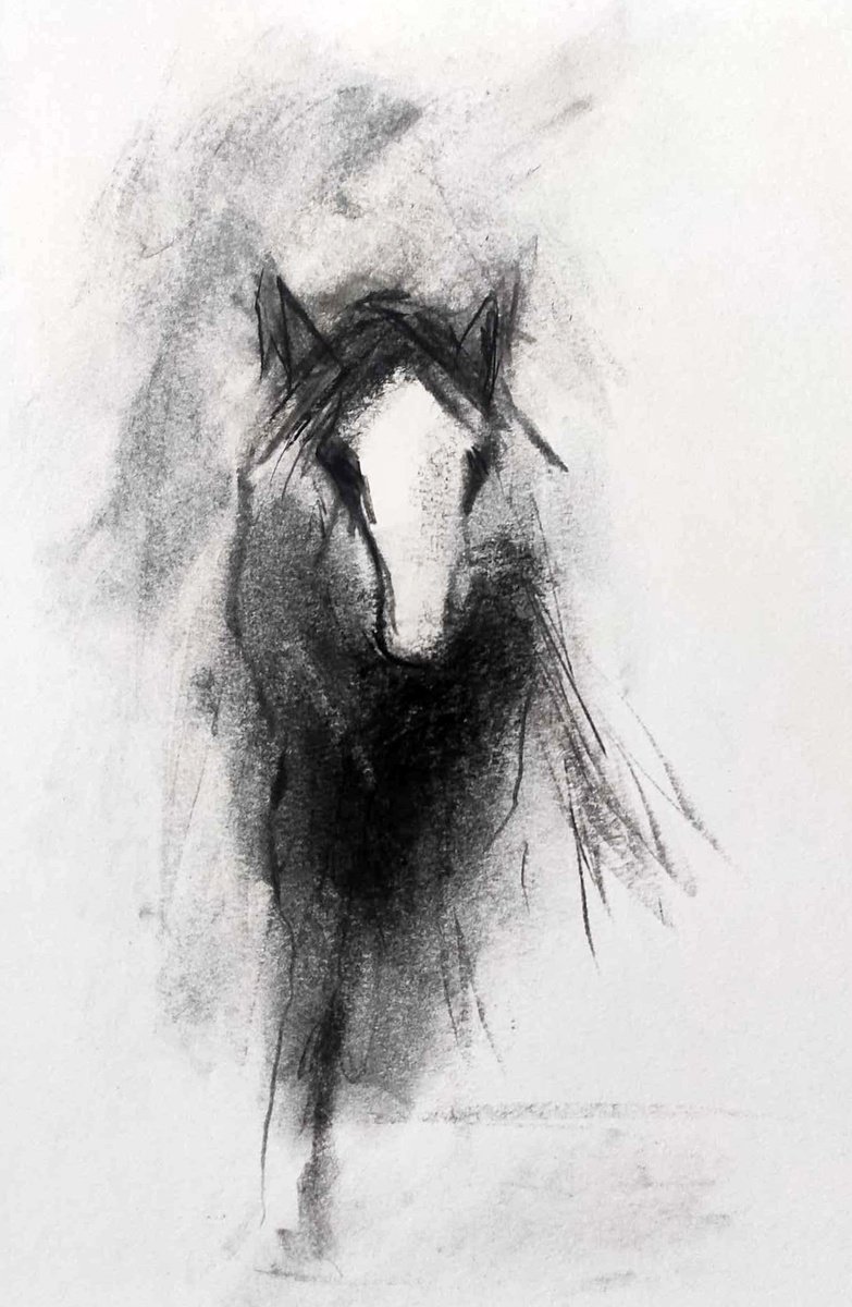 Expressive Animal Charcoal Drawing By Lionel Le Jeune, 11 X 13", Horse, Original Artwork