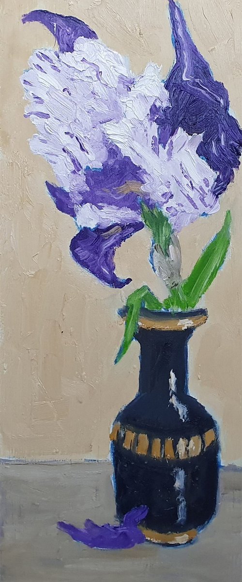 single iris I by Colin Ross Jack