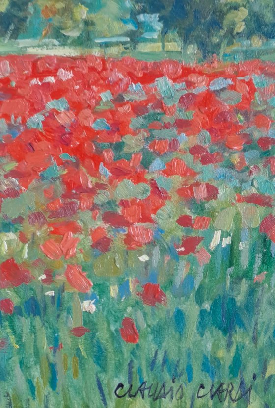 Fields of poppies