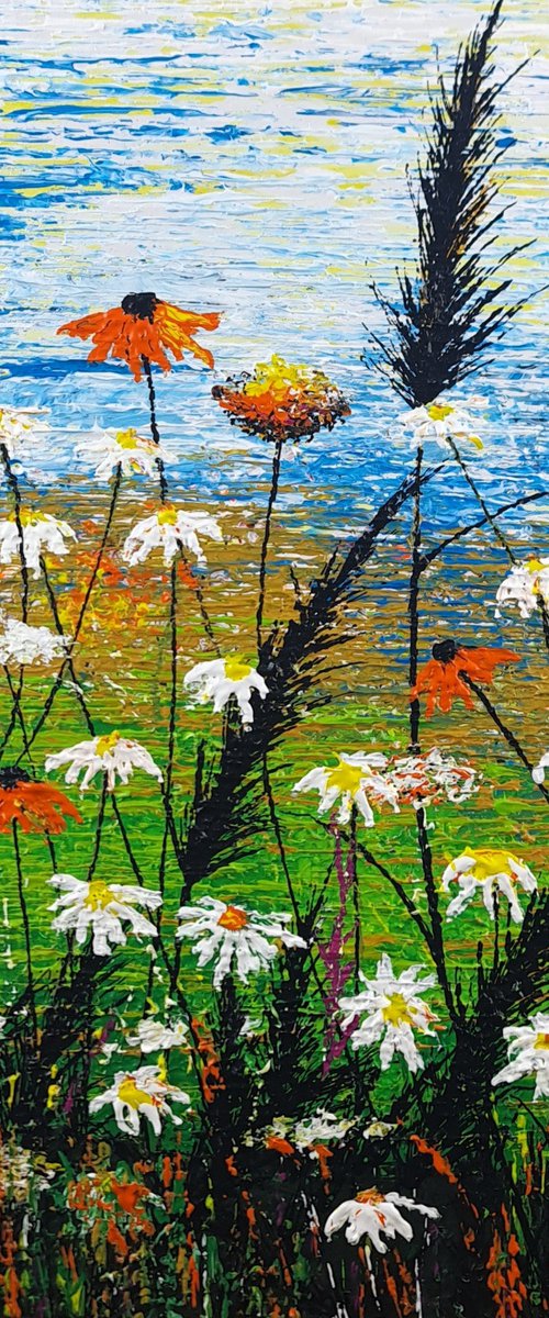 Daisy magic meadow by Daniel Urbaník