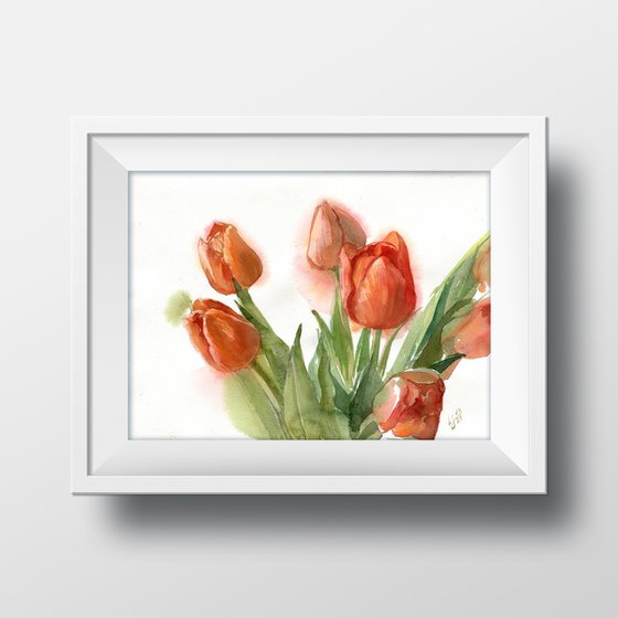 "Red Tulip Bouquet on a white background"