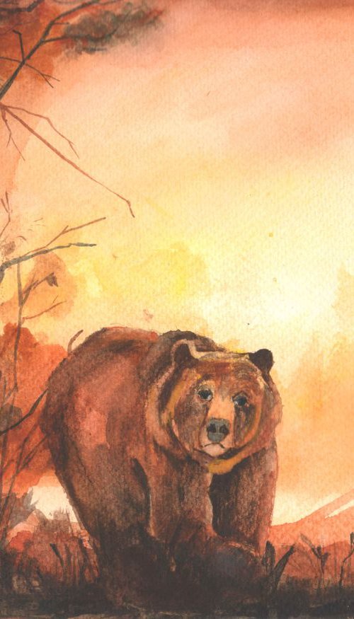 Bear story by Daniela Ela  Kočička  Beuk