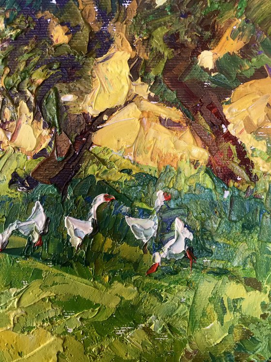 In the Shadow of the Garden