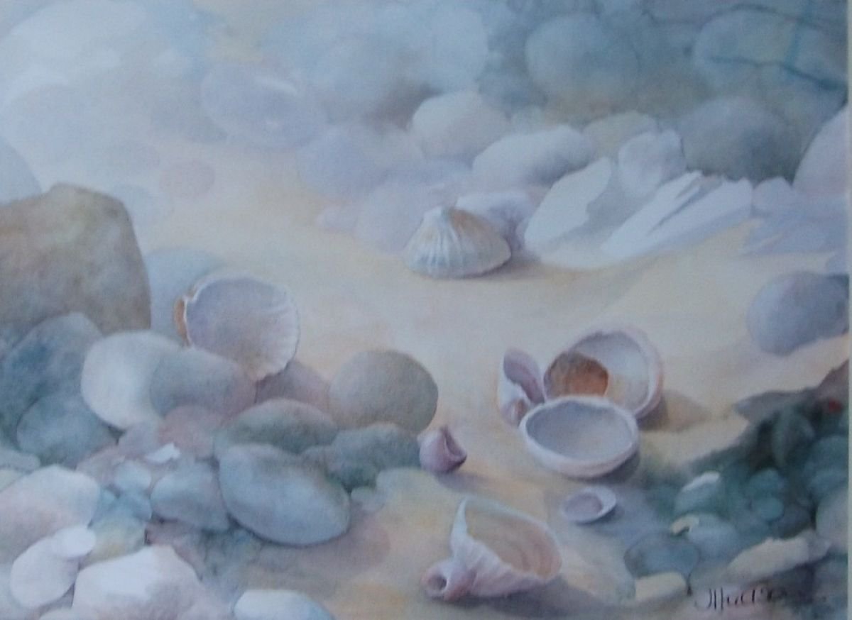 Seashells by Josephine Hudson