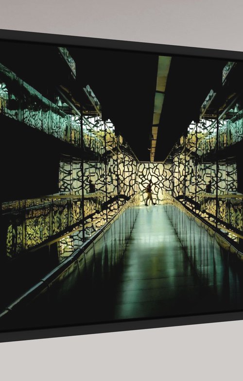 X-rays by Hyun De Grande