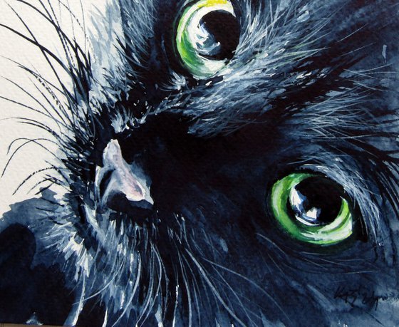 Black cat II