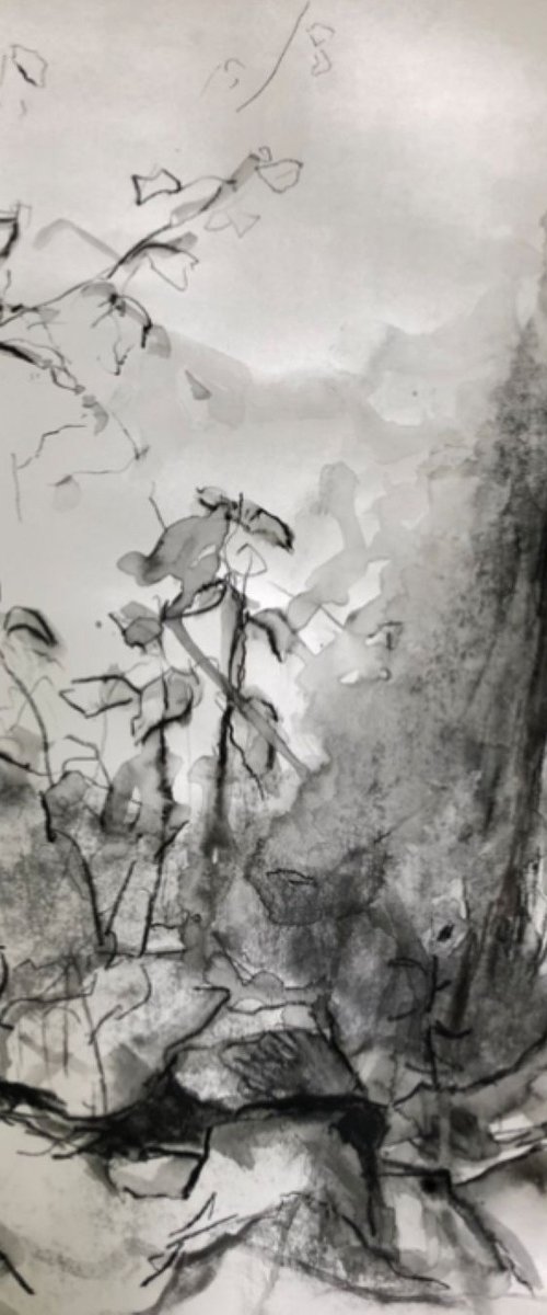 changing Seasons 2 by Joanna Farrow