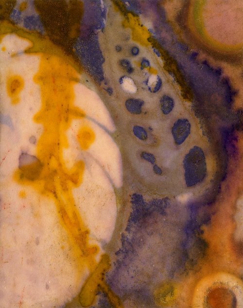 Mystical Treasure 2 - Abstract Shell Painting by Kathy Morton Stanion