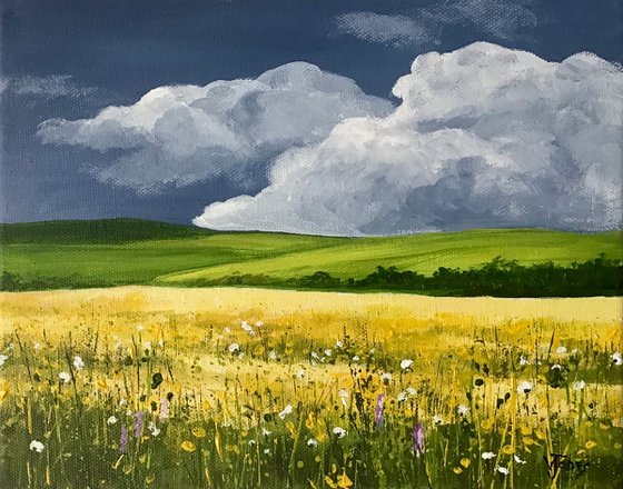 Meadow Flowers