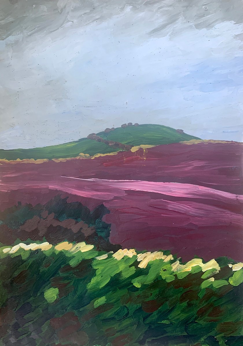 Heather Moorland by Nicholas Randall