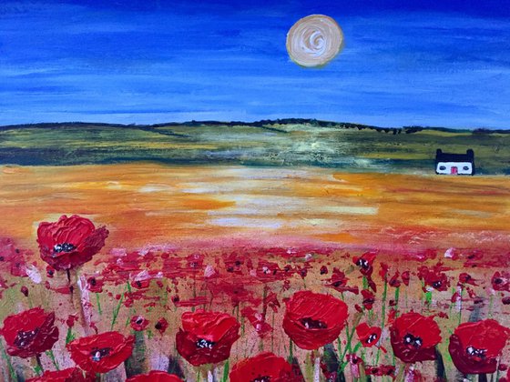 Sunshine over Poppies - Scottish Landscape 40x40