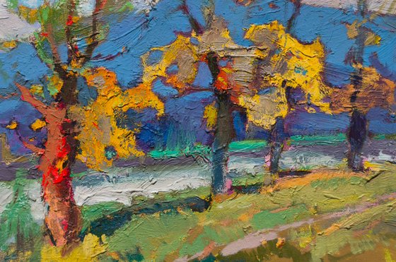 Autumn Colors