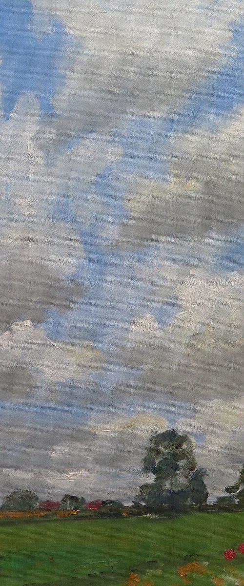 Midsummer Meadow by Malcolm Ludvigsen