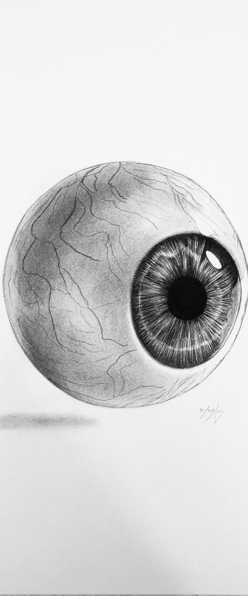 Eye by Amelia Taylor