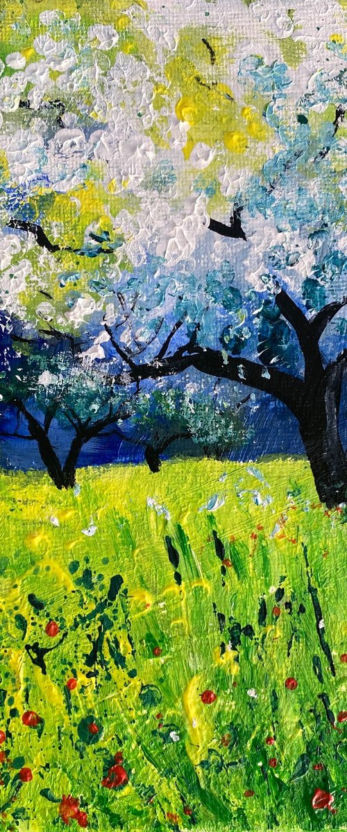 Orchard in springtime by Teresa Tanner