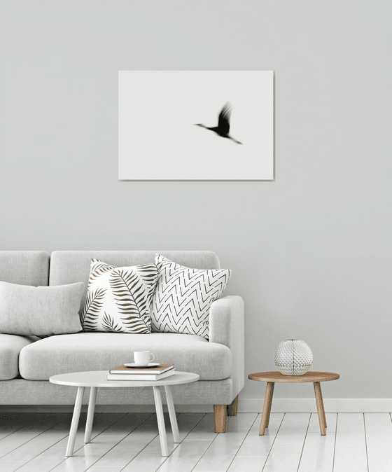 Crane(s) I | Limited Edition Fine Art Print 1 of 10 | 75 x 50 cm