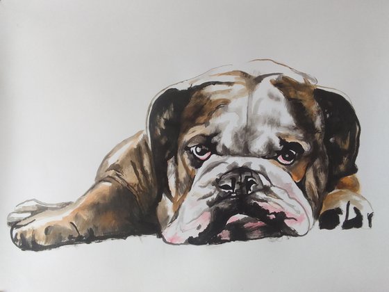 Bulldog