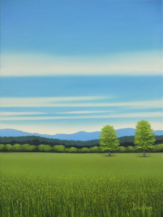 Grassy Field - Blue Sky